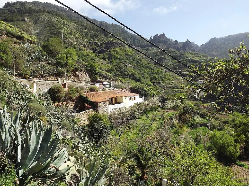 Casa Rural Pepita La De Las Flores Tejeda   Tejeda (Gran Canaria)